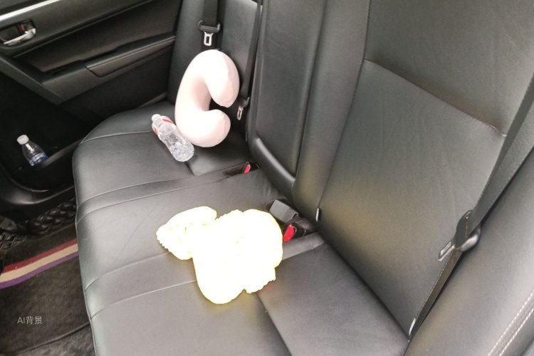 Toyota Corolla 2019 #19 Toyota Corolla 2019 car image #19