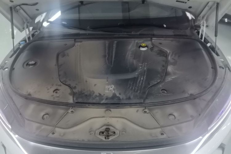 BYD Han 2021 car image #20