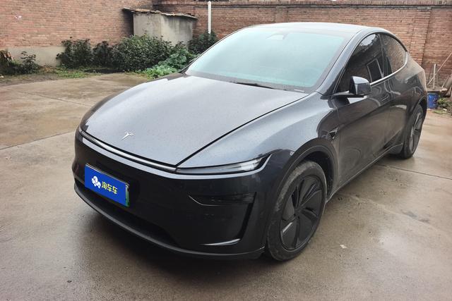 Tesla Model Y 2025 car image #18