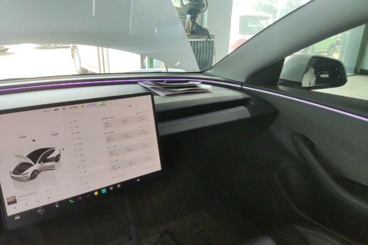 Tesla Model 3 2023 car image #13