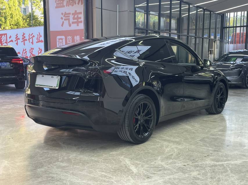 Tesla Model Y 2021 car image #7