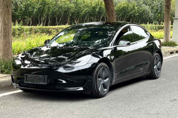 Tesla Model 3 2020 immagine di auto #2