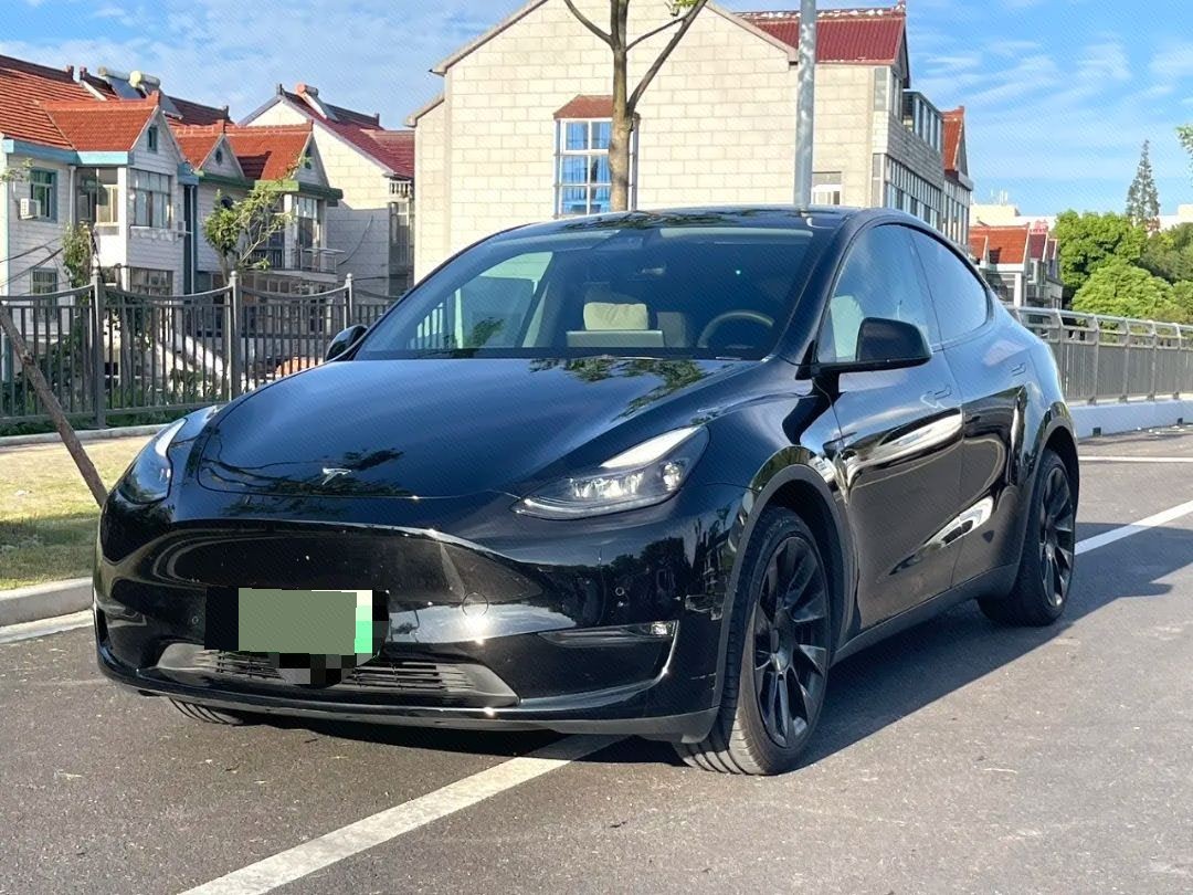 Tesla Model Y 2021 صورة سيارة 
