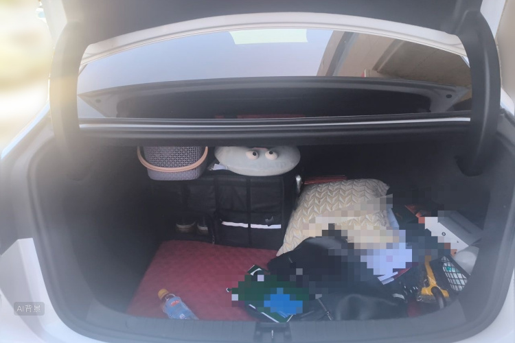BYD Han 2020 car image #21