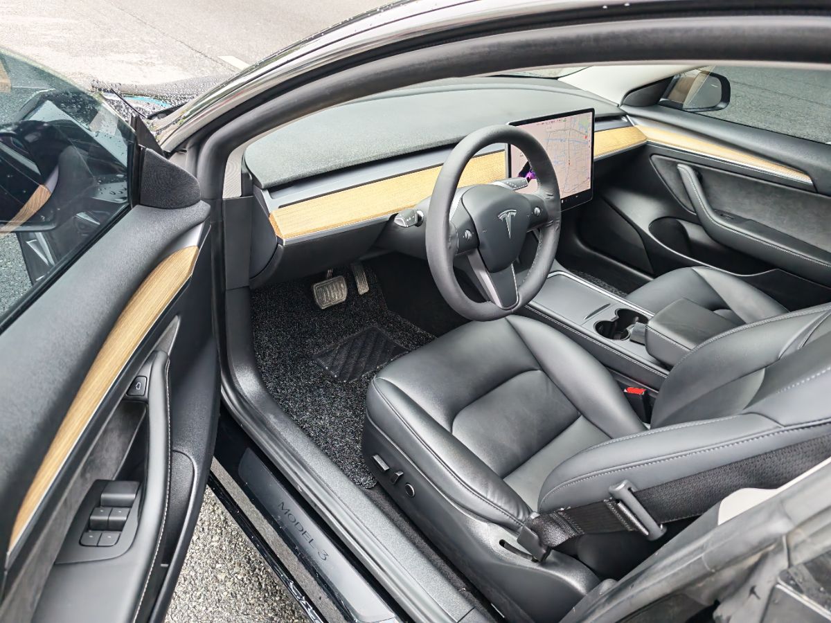 Tesla Model 3 2021 #4 Tesla Model 3 2021 immagine di auto #4