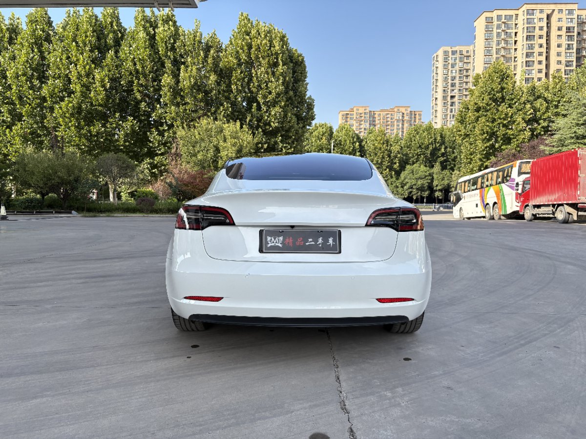 Tesla Model 3 2021 car image #8