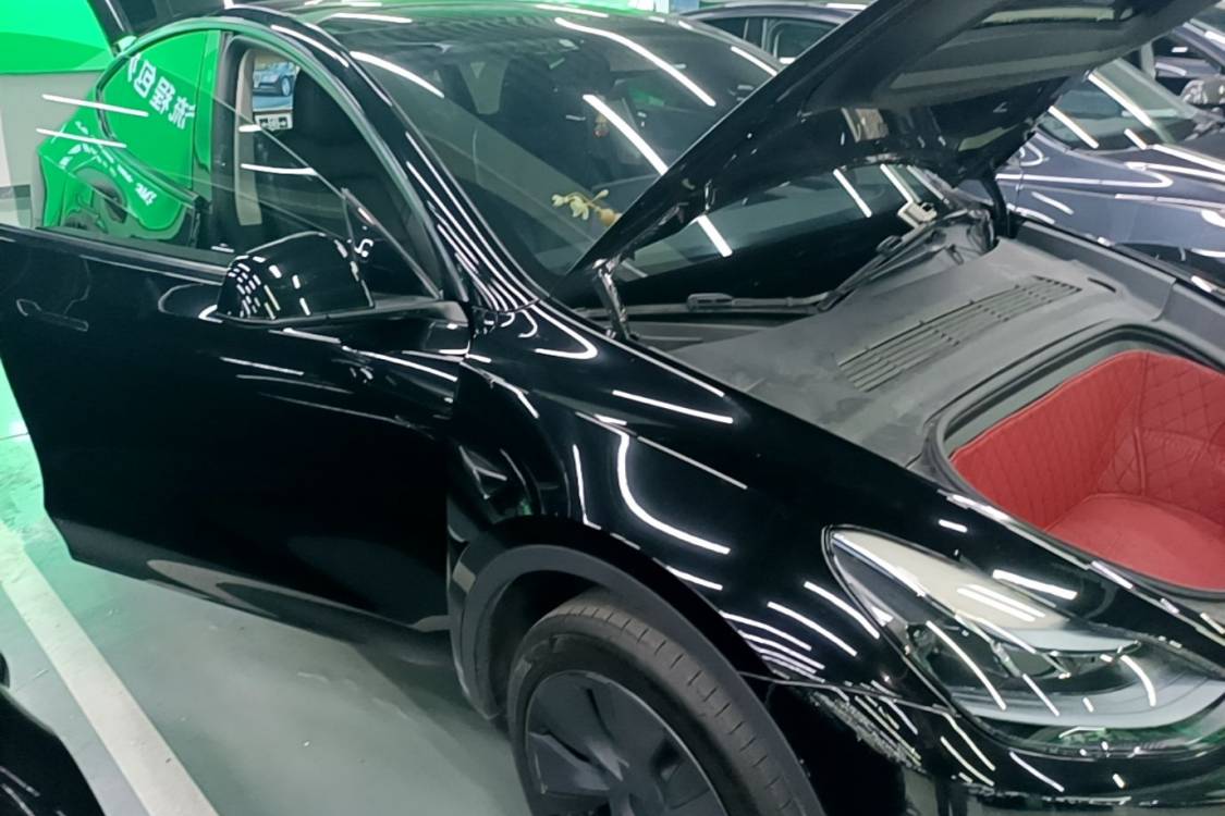 Tesla Model Y 2024 car image #16