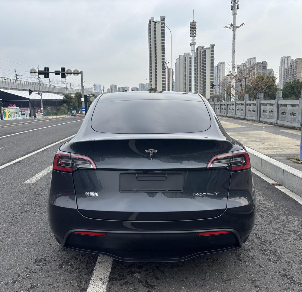 Tesla Model Y 2024 car image #6