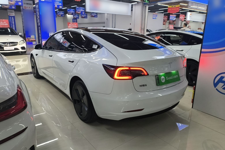 Tesla Model 3 2023 #7 Tesla Model 3 2023 car image #7