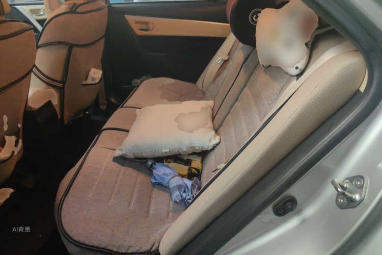 Toyota Corolla 2018 car image #19