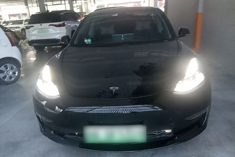 Tesla Model 3 2020 car image #3