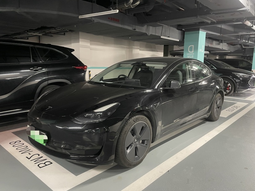Tesla Model 3 2021 Tesla Model 3 2021 car image