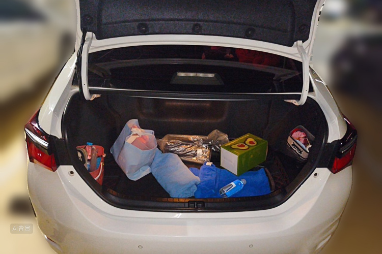 Toyota Corolla 2019 #21 Toyota Corolla 2019 car image #21