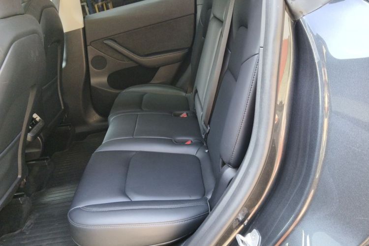 Tesla Model Y 2024 car image #10