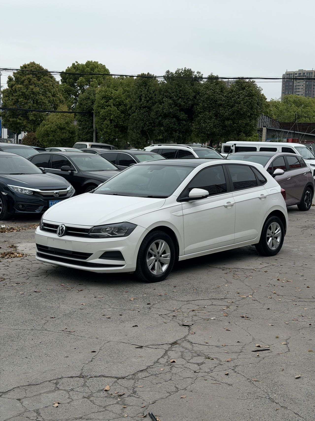 Volkswagen Polo 2020 car image 