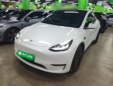Tesla Model Y 2023 Tesla Model Y 2023 car image
