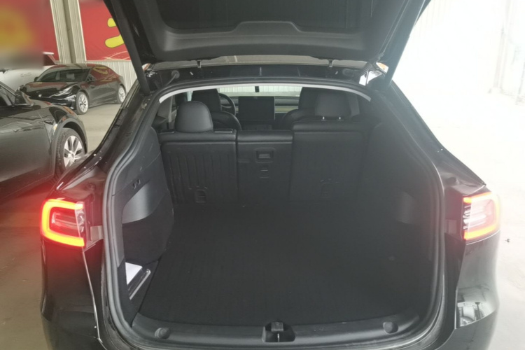 Tesla Model Y 2023 car image #19
