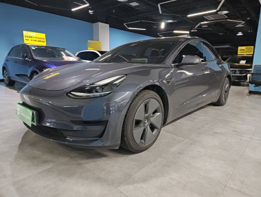 Tesla Model 3 2021 Tesla Model 3 2021 car image