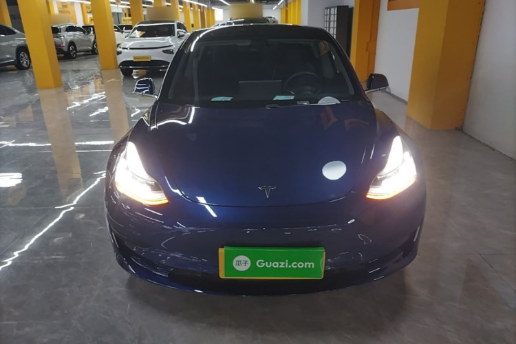 Tesla Model 3 2020 car image #3