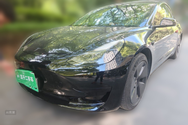 Tesla Model 3 2021 #2 Tesla Model 3 2021 car image #2