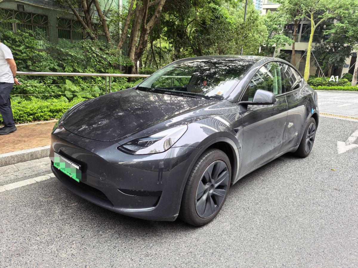 Tesla Model Y 2024 car image 
