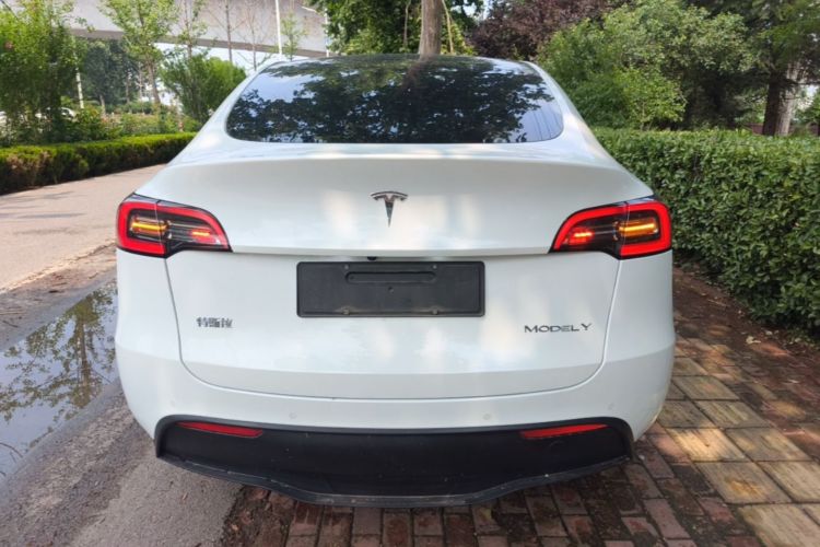 Tesla Model Y 2022 car image #6