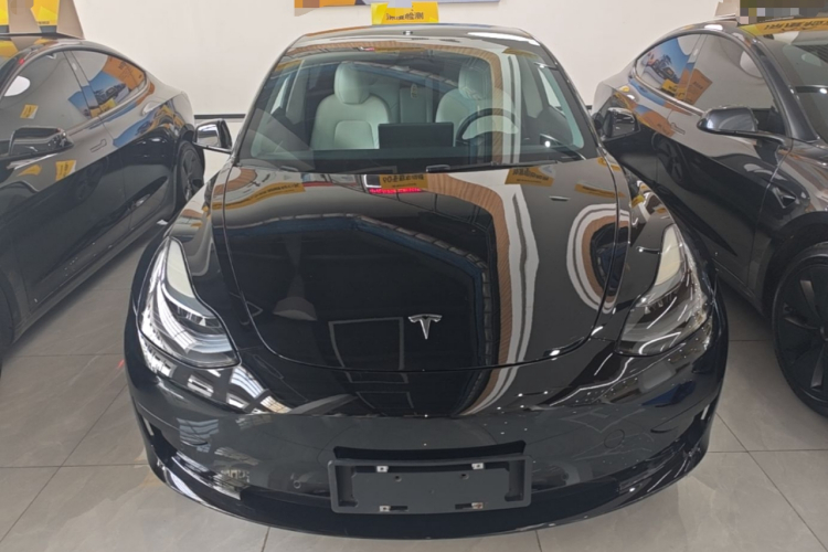 Tesla Model 3 2023 #3 Tesla Model 3 2023 car image #3