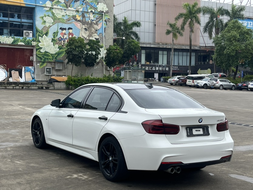 BMW 3 Series 2019 car image #4