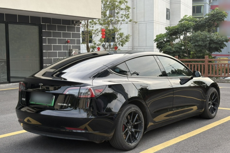 Tesla Model 3 2022 #8 Tesla Model 3 2022 car image #8