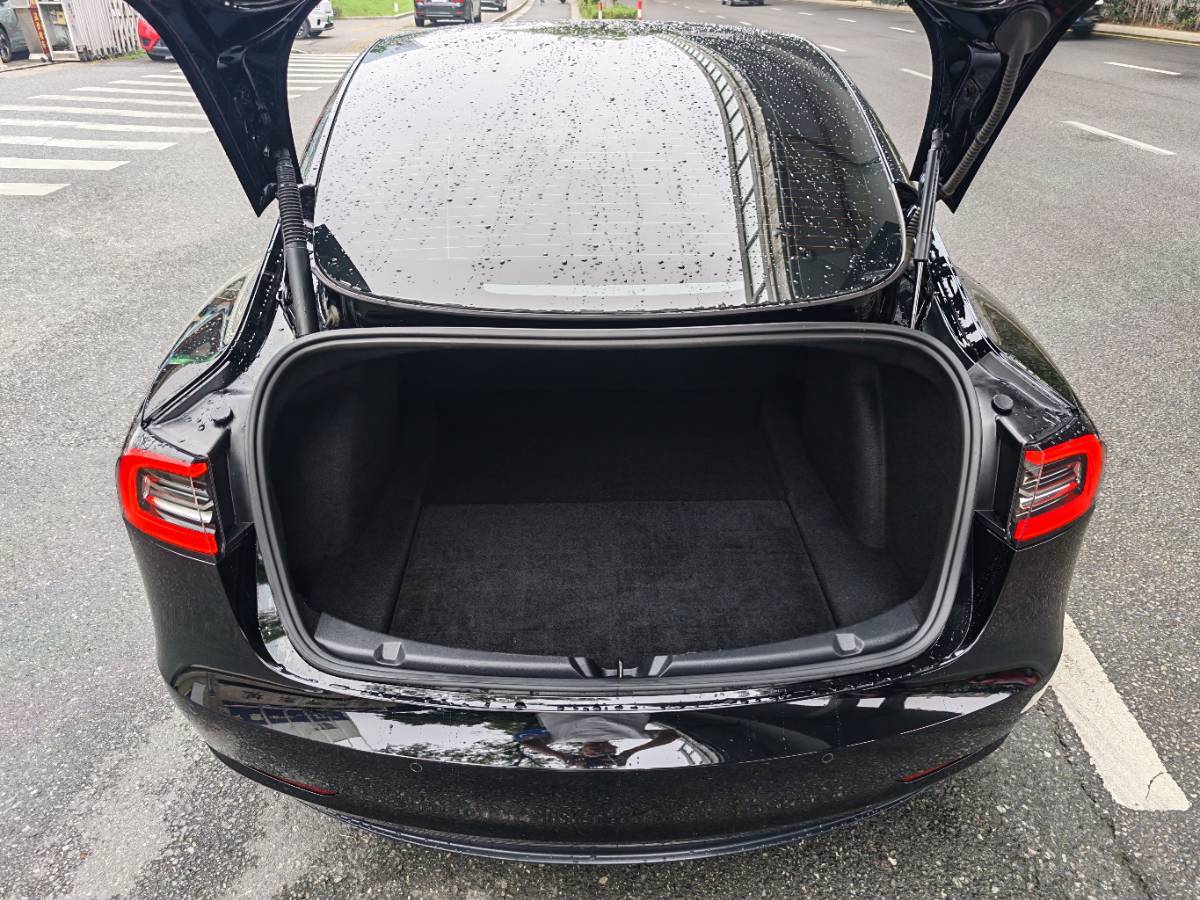 Tesla Model 3 2021 #7 Tesla Model 3 2021 immagine di auto #7