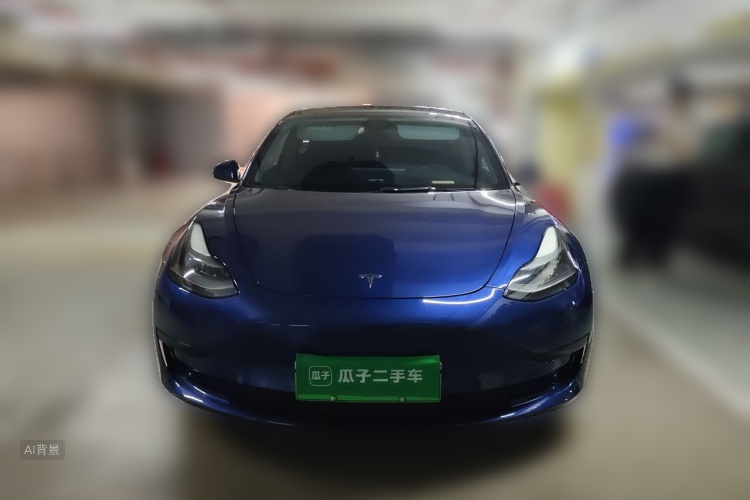 Tesla Model 3 2021 #3 Tesla Model 3 2021 car image #3