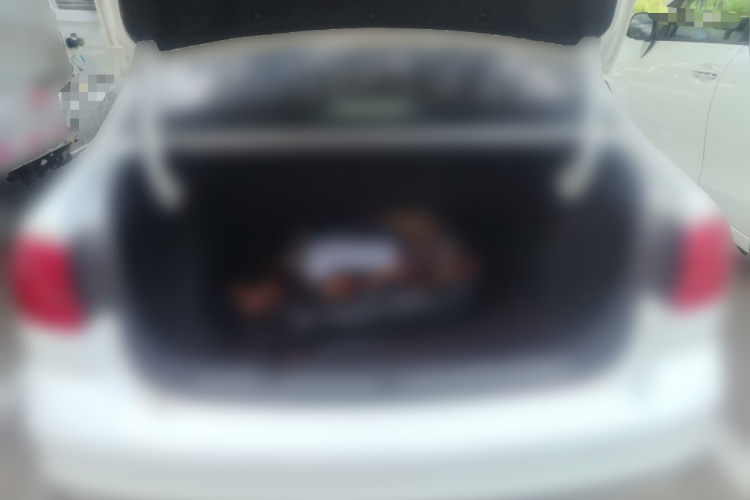 Volkswagen Bora 2020 #17 Volkswagen Bora 2020 car image #17