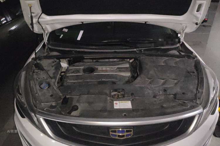 GEELY Emgrand GS 2019 imagem de carro #22