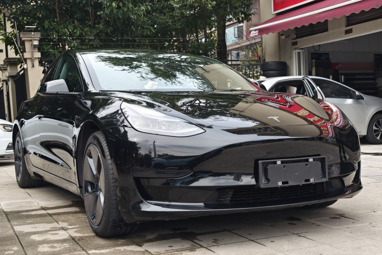 Tesla Model 3 2021 imagem de carro #12