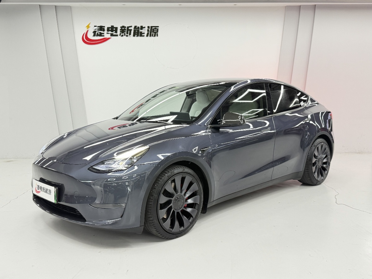 Tesla Model Y 2023 Tesla Model Y 2023 car image