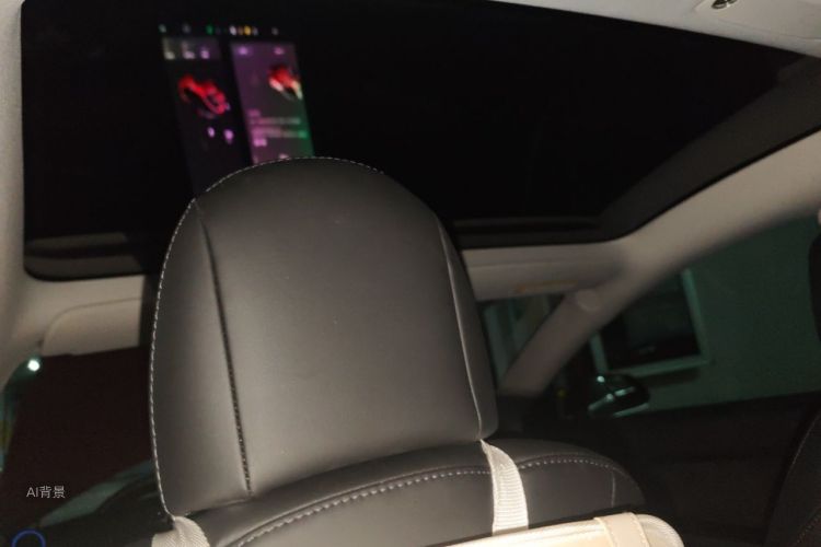 Tesla Model 3 2020 #20 Tesla Model 3 2020 صورة سيارة #20