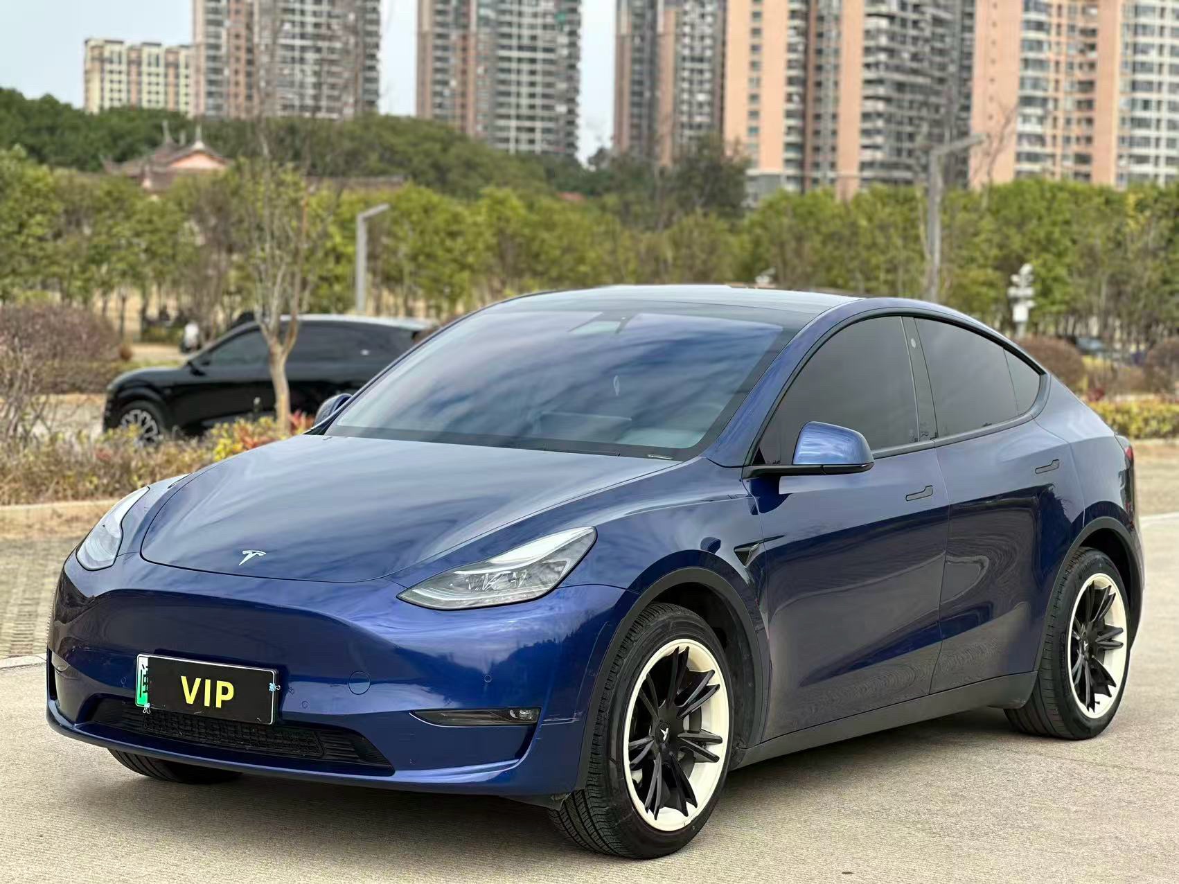 Tesla Model Y 2021 Tesla Model Y 2021 car image