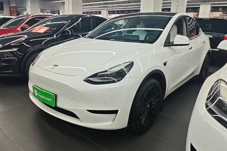 Tesla Model Y 2023 car image #2