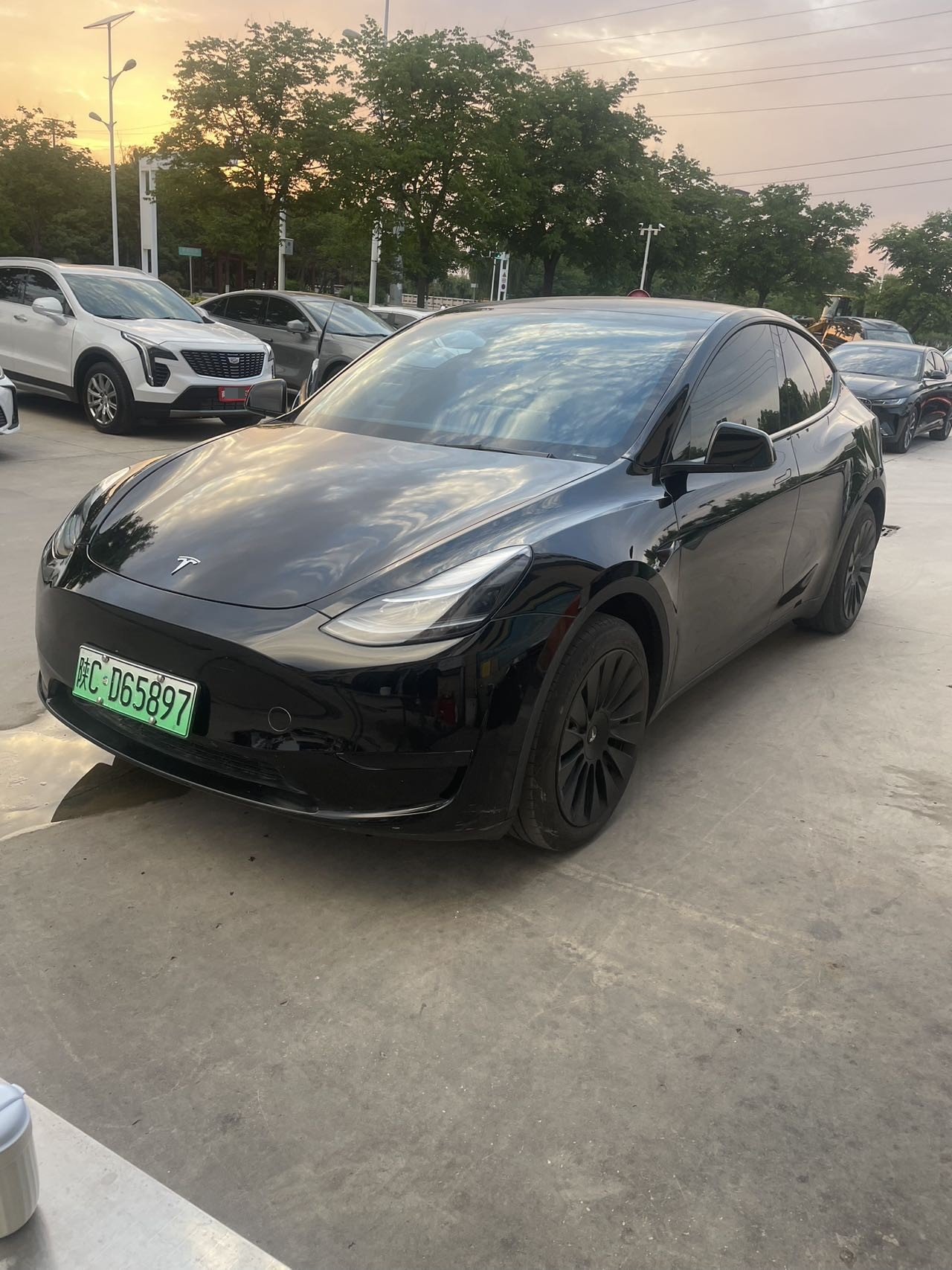 Tesla Model Y 2024 Tesla Model Y 2024 car image