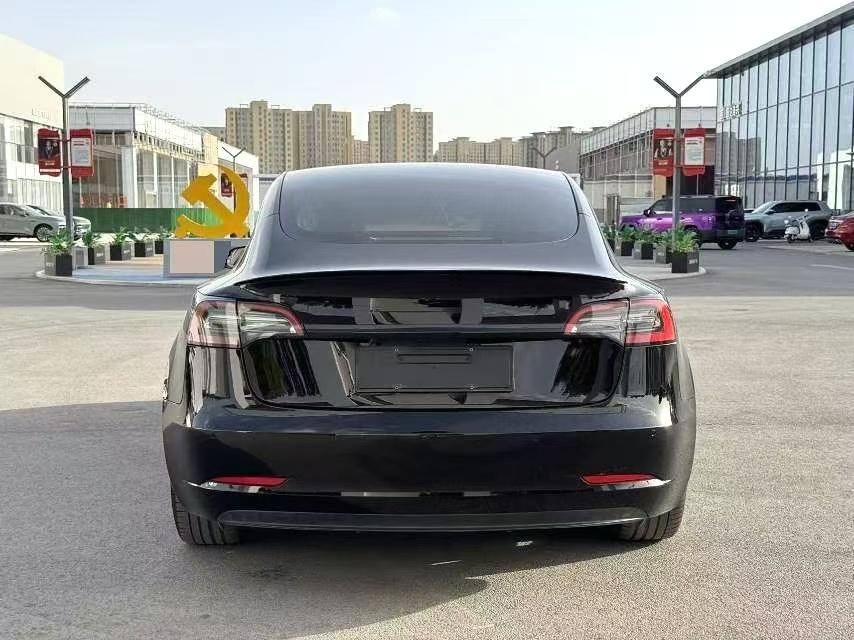 Tesla Model 3 2021 #5 Tesla Model 3 2021 car image #5