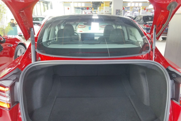 Tesla Model 3 2021 #21 Tesla Model 3 2021 car image #21