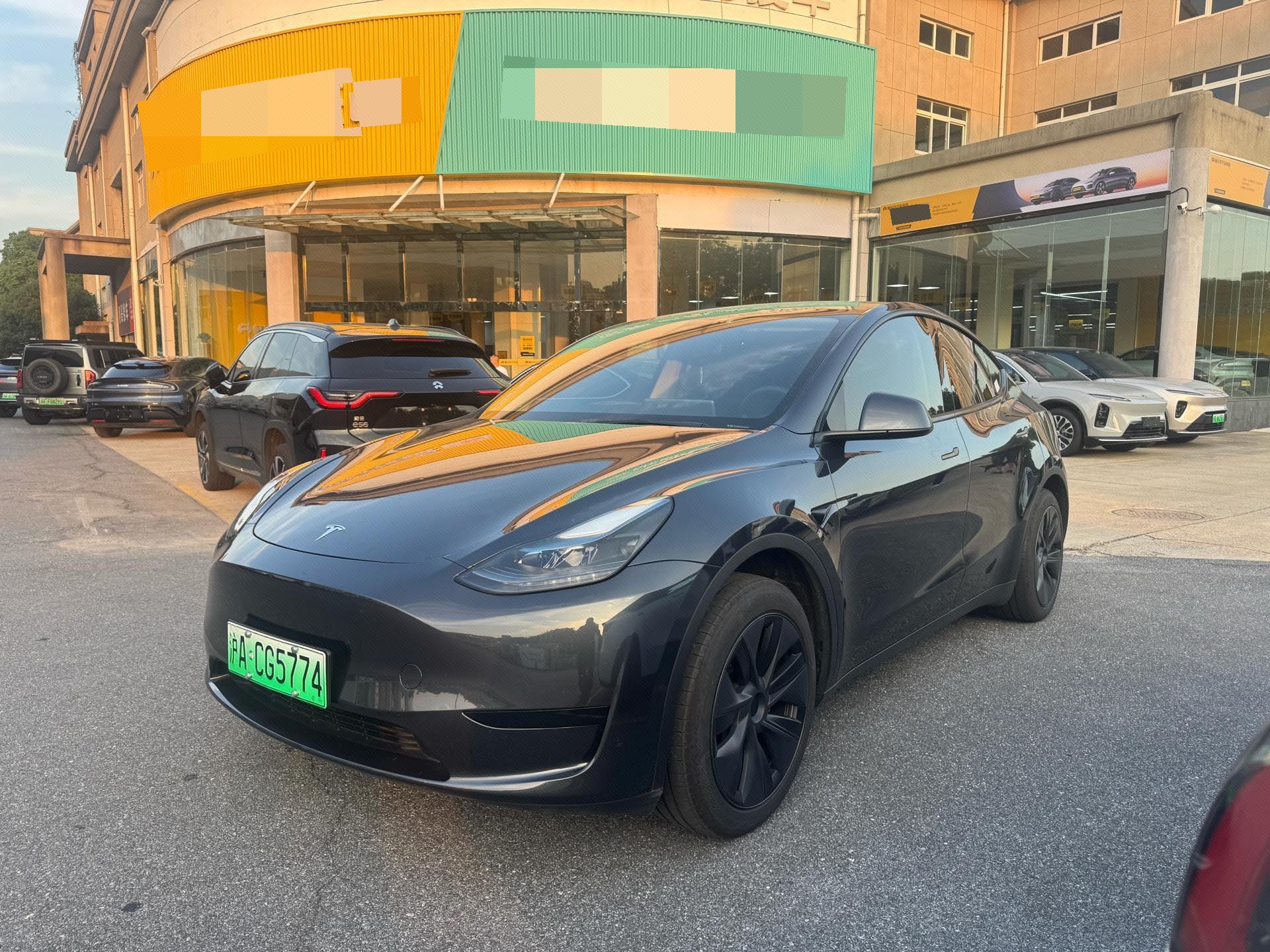 Tesla Model Y 2024 car image 