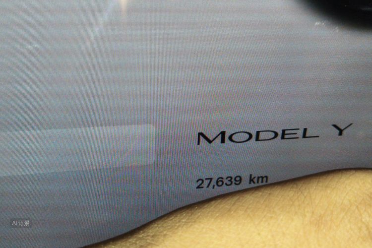 Tesla Model Y 2023 car image #14