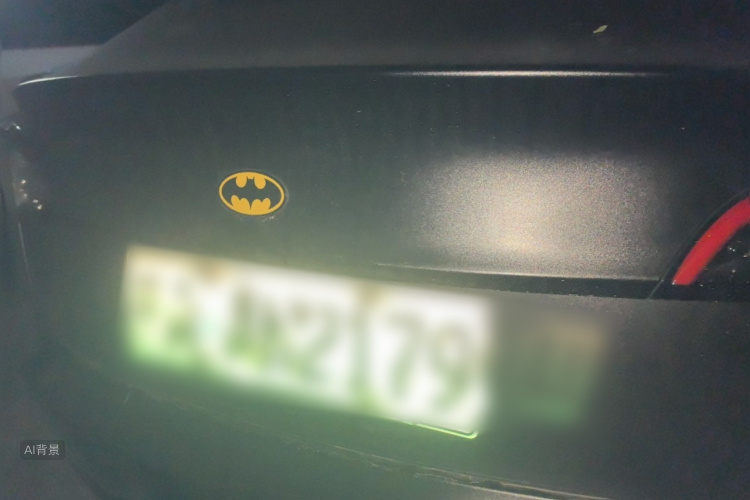 Tesla Model 3 2021 imagem de carro #6
