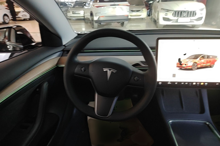 Tesla Model 3 2022 #11 Tesla Model 3 2022 car image #11