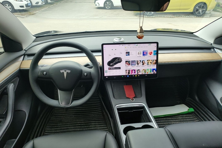 Tesla Model 3 2021 #10 Tesla Model 3 2021 car image #10