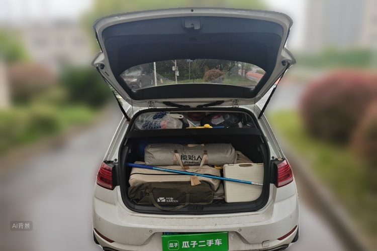 Volkswagen Golf 2019 car image #21