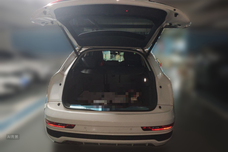 Audi Q3 2019 car image #21
