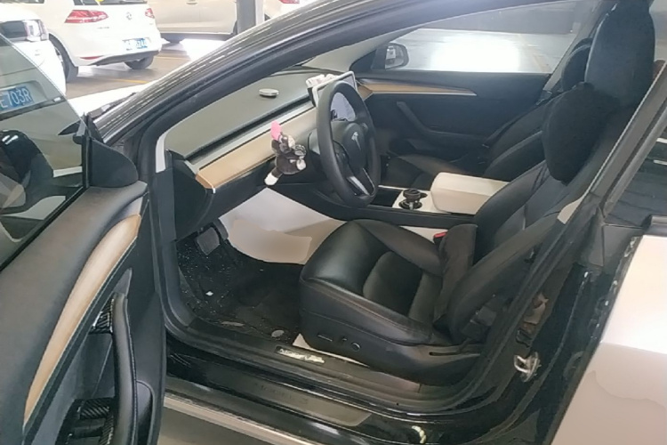 Tesla Model 3 2021 car image #16