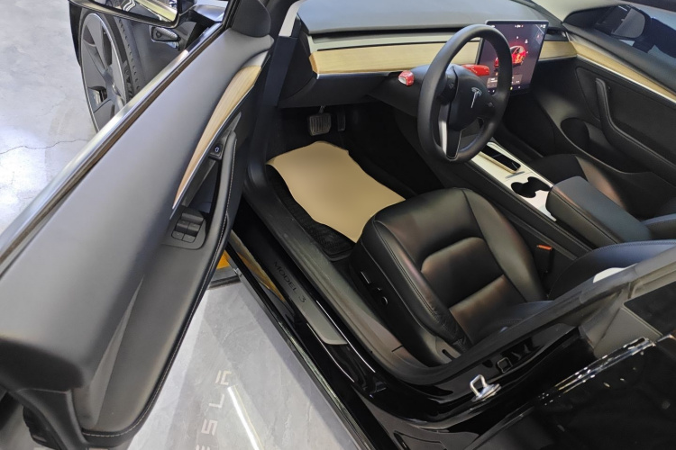 Tesla Model 3 2023 car image #12